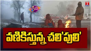 చలి పులి - ఇది ట్రైలర్ మాత్రమే | Dhoom Dhaam Muchata | T News