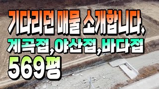 1053 경북 경주시 문무대왕면 구길리,기다리던 매물 소개합니다,계곡접,야산접,바다접,569평