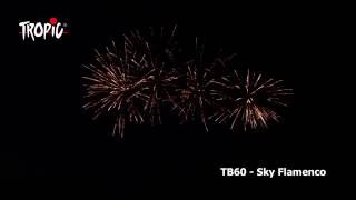 TB60 - TROPIC Fireworks, Fajerwerki, Feuerwerk, Vuurwerk, Feu d'artifice