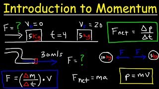 Introduction to Momentum, Force, Newton's Second Law, Conservation of Linear Momentum, Physics