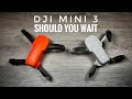 Should You Wait For DJI Mini 3? Or Go With Mini 2 or Autel Nano