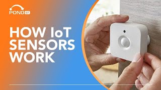 The Power of IoT Sensors: Explore How IoT Sensors Impact Our Lives \u0026 Future Technologies