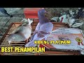 Keren penampilan perak lampik Tim Platinum