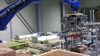 Yaskawa Palletizing Robot | 팔레타이징 | 적재로봇 | Box Palletizing | YASKAWA MH180 DX200