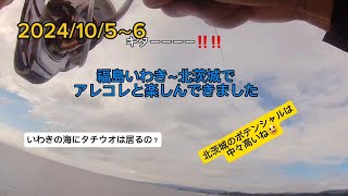 いわき市の漁港と北茨城の漁港でタチウオやら青物が釣れないかなぁ⁉️　と遊びに行ってきました。