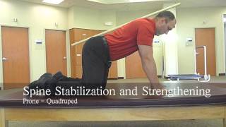 Spine Stabilization-Prone-Quadruped