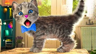 SUPER LITTLE KITTEN ADVENTURE - KITTY ON AN ADVENTUROUS JOURNEY AND A BIG SURPRISE - LONG SPECIAL