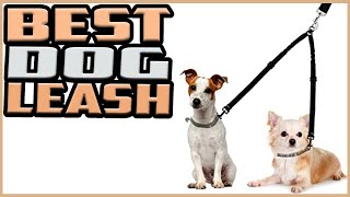 Top 5 Best Dog Leash in 2022 reviews