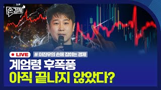 [손경제] 계엄령 후폭풍 | 반도체 규제 반격 나선 中 | 청년도약계좌 예산 삭감 | 새주인 찾는 티메프 | 20241205(목)