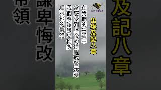 出埃及記八章 上帝降下的三個災難：青蛙災、虱災和蒼蠅災但法老依然心硬，不願讓以色列人離開 #讀經 #靈脩  #禱告 #基督​ #上帝​ #耶穌​ #聖經​ #福音​ #聖靈​ ​#教會​ #十字架​