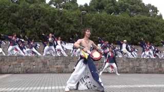 労働芸団結海衆／メインステージ／ザ・よさこい！大江戸ソーラン祭り2013