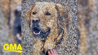 Artist creates stunning portraits made entirely of pebbles | GMA