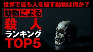 世界で最も人を殺す動物ランキングTOP5 【 1分雑学 】 #shorts