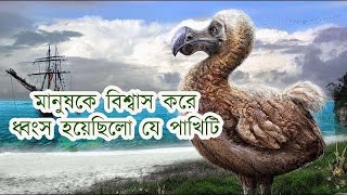 ডোডো পাখি কেন বিলুপ্ত হয়ে গেল? The Real Reason Why DODO Bird Got Extincted?