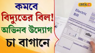 Bangla News: বিরাট সুখবর! কমবে বিদ্যুতের বিল! অভিনব উদ্যোগ চা বাগানে, কী হতে চলেছে? দেখুন #local18