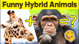 Funny Hybrid Animals 🐾😁 They never existed 🐽😂 Funny Animal Videos 2022