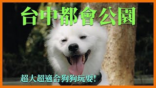 【狐狸犬 DOBBY】台中都會公園又大又好跑！DOBBY瘋了！｜DBPPZ都比趴趴走003