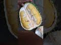 Unboxing durian bawor banyumas jawa tengah #durianbawor #durianbaworbanyumas