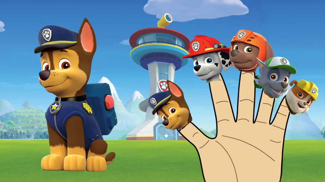 PAW PATROL FINGER FAMILY \ Nursery Rhymes And More Lyrics - YouTube