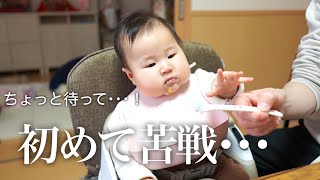 【離乳食】初しらすに苦戦するむちむち赤ちゃんの奮闘【生後7ヶ月】