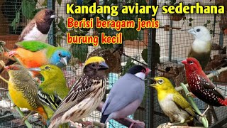 KANDANG AVIARY MINIMALIS - ternak beragam jenis burung dalam satu kandang | Bird Aviary นก - ಪಕ್ಷಿ