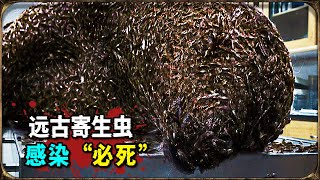 男人感染远古寄生虫，他选择【壮士断腕】砍掉了自己胳膊！一部经典电影回顾