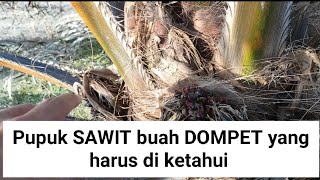 pupuk sawit buah dompet yang harus diketahui