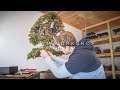 In the Workshop, Ep. 7 | Shipping Bonsai Cross-Country