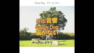 LIVE音響　Saucy Dog 届かない