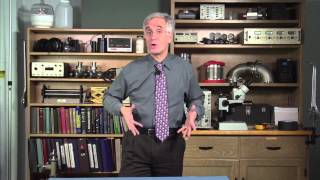 What forces act on you in an elevator moving at constant velocity?