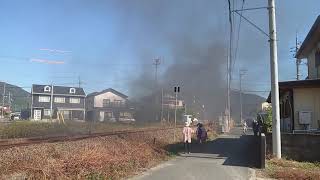 The D51-200 steam engine on the Yamaguchi Line/山口線を走るD51-200蒸気機関車/Die japanische D51-200 Dampflok