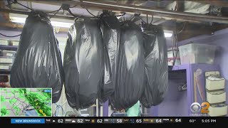 Long Island Communities Bracing For Strong Wind, Possible Storm Damage