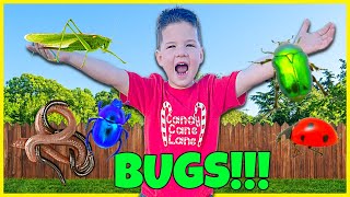 MORNING BUG HUNT with CALEB & MOMMY! Pretend PLAY with BUGS!