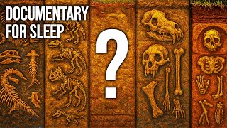 What Happened During the Prehistoric Time Gap Scientists CAN'T Explain? | Documentary For Sleep