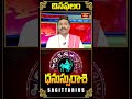 ధనుస్సు రాశి దినఫలం - Sagittarius Daily Horoscope (24th Sep 2024)  #dailyhoroscope #dhanussurasi