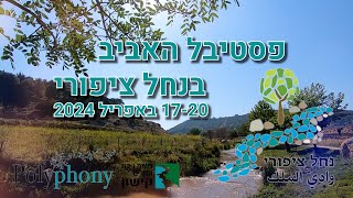 פסטיבל האביב נחל ציפורי 2024