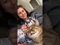 copy cat 🫣😂😂 funny funnypetsmoments funnypet funnyshorts cat catvideos cute funypets