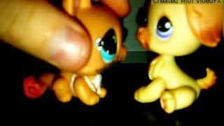 Lps Tonight Im Getting Over You
