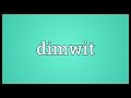 Dimwit Meaning