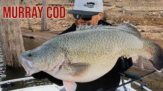 1st Murray Cod Ever!  30 hours of casting - Big Cod Dreams Part 3