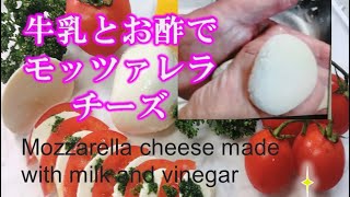 【ジューシー！モッツァレラチーズの作り方】ノンホモ牛乳とお酢だけで作るシェフが教える簡単自家製チーズ　Mozzarella cheese made with milk and vinegar