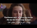 Apprendre le français grâce à des clips  أسلوب رائع لتحسين لغتك الفرنسية من خلال مقاطع الأفلام   4