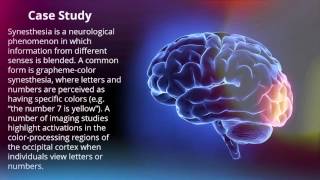 Occipital Lobe - Human Brain Series - Part 7