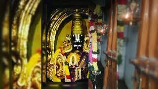 Sri Parthasarathy perumal short video🎥 🙏 🕉 🙏 🙏 🙏 🙏