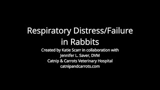 Respiratory Distress/Failure in Rabbits