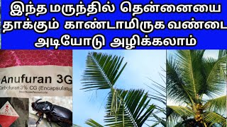 செய்முறையாக தென்னை காண்டாமிருக வண்டு அழிக்கும் முறை | HOW TO CONTROL RHINOCEROS  BEETLE IN COCONUT