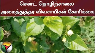 கிருஷ்ணகிரி மாவட்டத்தில் 7 ஆயிரம் ஏக்கரில் குண்டுமல்லி சாகுபடி