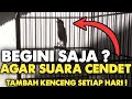 CARA MERAWAT VOLUME CENDET AGAR TETAP KENCANG BERTAMBAH KERAS‼️