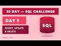 DAY 5 | INSERT, UPDATE & DELETE | 30 Day SQL Challenge | #sql #dataanalytics #dataengineering