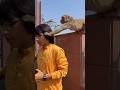 monkey chasma le Gaya Vrindavan🐒😎 mein#souravjoshivlogs #vlog